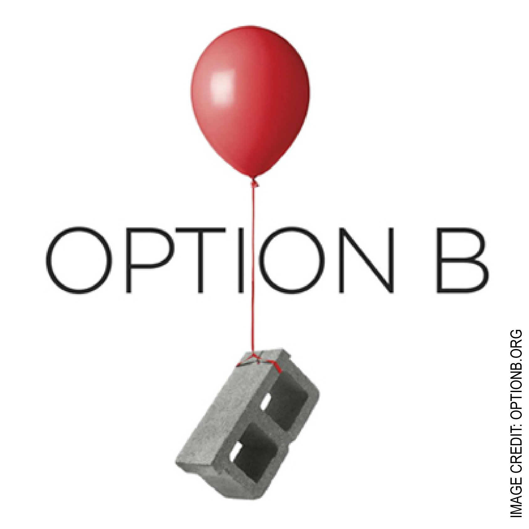 Option B: Bouncing Forward